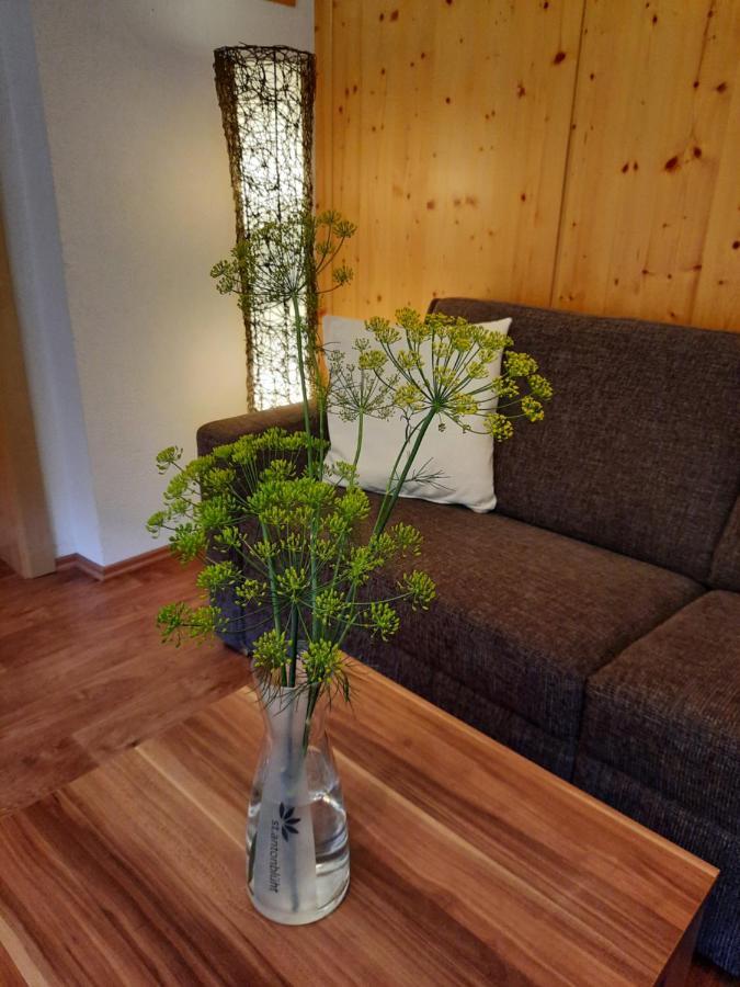 Haus Untergand Leilighet St. Anton am Arlberg Eksteriør bilde